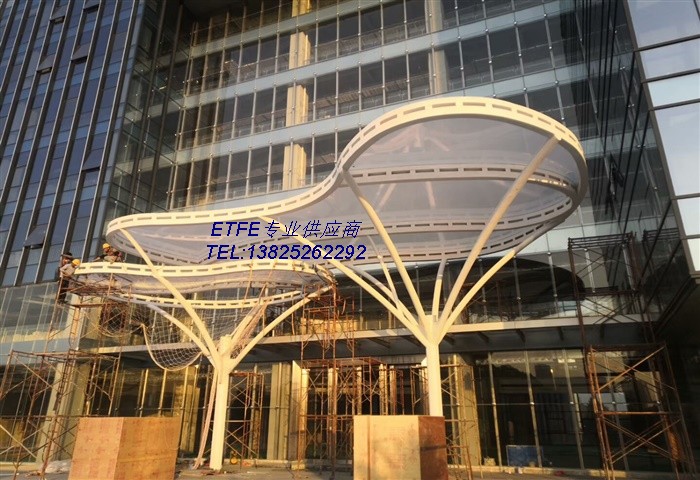 ETFE膜结构加工厂家